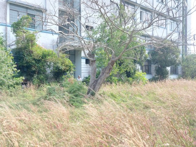 Trà Vinh: Xót xa ngôi trường đầu tư hàng chục tỷ đồng từ tiền ngân sách lại bỏ hoang? - Hình 2 Tra Vinh: Xot xa ngoi truong dau tu hang chuc ty dong tu tien ngan sach lai bo hoang?-Hinh-2