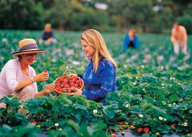 Quoc gia nao an toan nhat neu tham hoa hat nhan xay ra?-Hinh-10