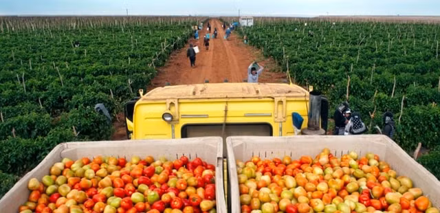 Quoc gia nao an toan nhat neu tham hoa hat nhan xay ra?-Hinh-6