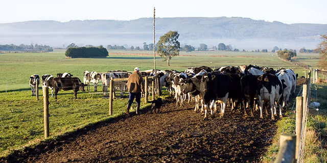 Quoc gia nao an toan nhat neu tham hoa hat nhan xay ra?-Hinh-12