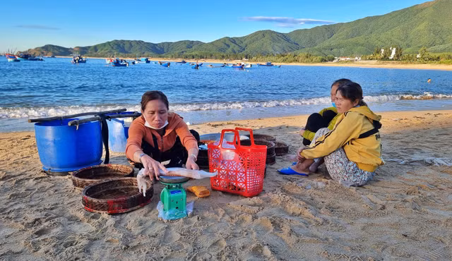 Du an Gang thep Long Son - bai 1: Dan keu cuu den Thanh tra Chinh phu-Hinh-3