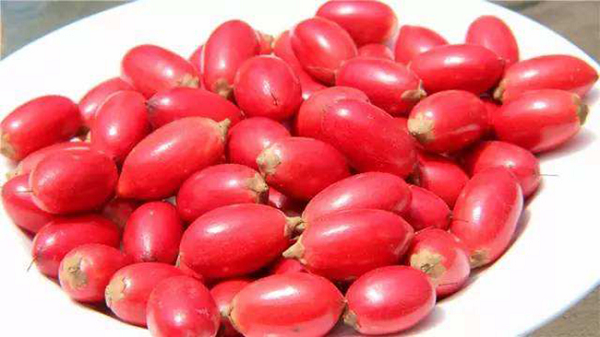 Việt Nam có một loại “quả thần”, biến mọi thức ăn thành đồ ngọt - Hình 8 Viet Nam co mot loai “qua than”, bien moi thuc an thanh do ngot-Hinh-8