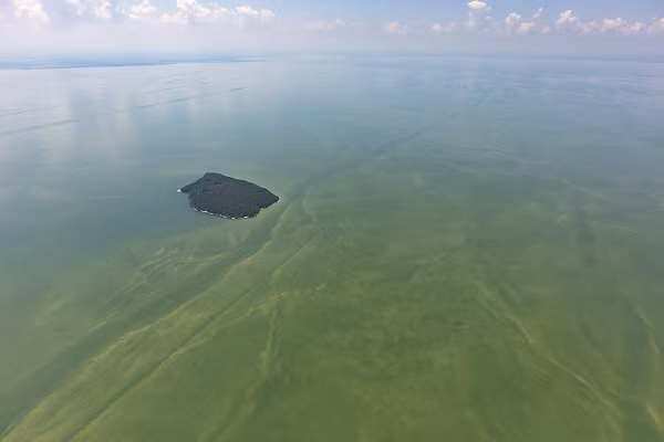 Bi an ho nuoc dang so voi 2.500 con tau mat hut-Hinh-12