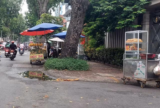 TP HCM: Duong dan sinh thanh noi “hop cho
