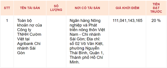 Dau gia khoan no 111 ty the chap 18 lo dat cua Cuom Viet