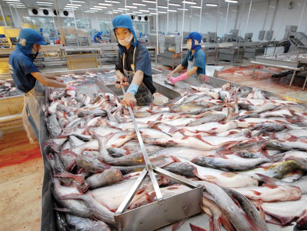 BIDV lai rao ban khoan no hon 161 ty cua Thuy san Hung Vuong Ben Tre