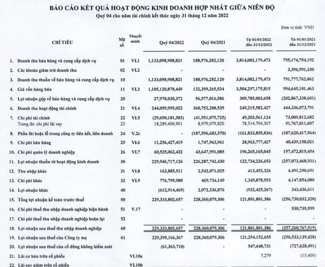 Sau kiểm toán, Vietravel bất ngờ giảm lãi 2022 và tăng lỗ 2021 - Hình 2 Sau kiem toan, Vietravel bat ngo giam lai 2022 va tang lo 2021-Hinh-2