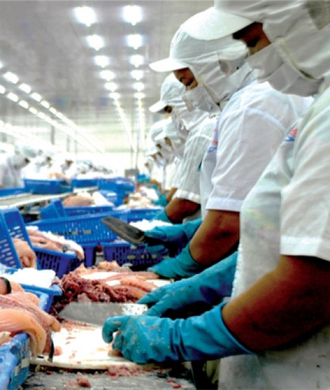 Thủy sản MeKong trở lại quỹ đạo thua lỗ quý 3/2023 - Hình 3 Thuy san MeKong tro lai quy dao thua lo quy 3/2023-Hinh-3