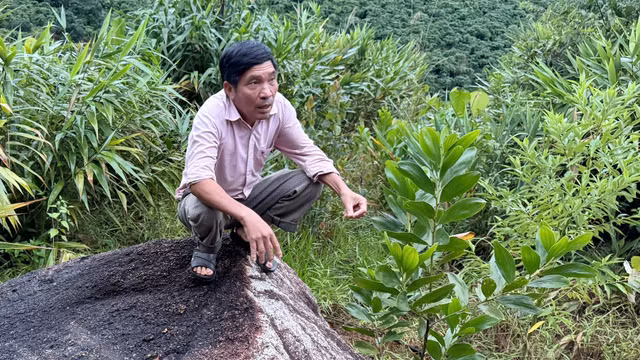 Nguy co sat lo khi qua doi xuat hien vet nut lon tai Lam Dong-Hinh-3