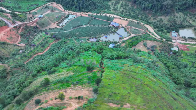 Nguy co sat lo khi qua doi xuat hien vet nut lon tai Lam Dong