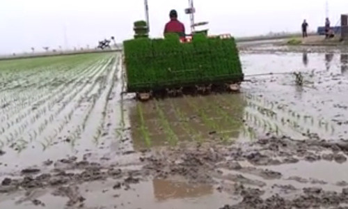 Lạ lẫm với máy cấy siêu nhanh dành cho nông dân La lam voi may cay sieu nhanh danh cho nong dan