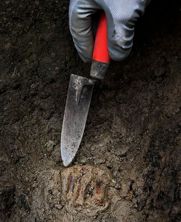 Bộ hài cốt nhuộm đỏ do thảm hoạ kinh hoàng nào? - Hình 3 Bo hai cot nhuom do do tham hoa kinh hoang nao?-Hinh-3