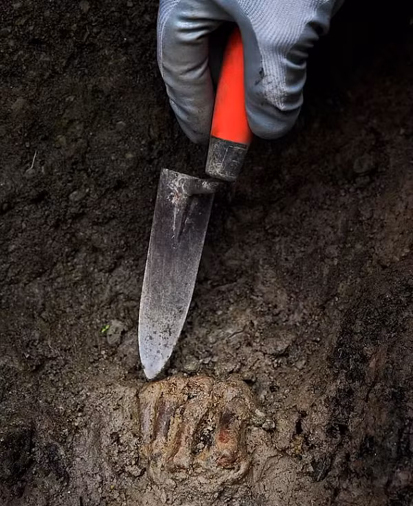 Bo hai cot nhuom do do tham hoa kinh hoang nao?-Hinh-3