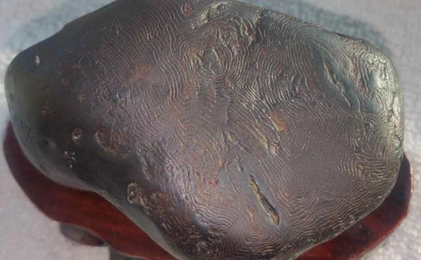 Dung 40 nam moi phat hien ra bau vat khung