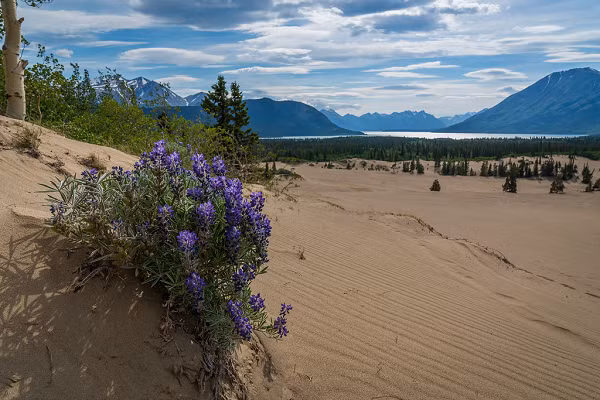 Sa mac 10.000 nam bi an nhat the gioi-Hinh-7