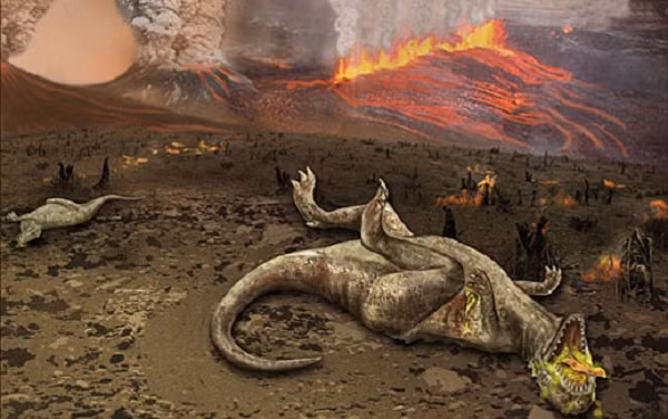 Cuoc dai tuyet chung gan day da huy diet 63% dong vat-Hinh-12