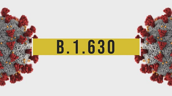 Phat hien bien the moi cua virus SARS-CoV-2: Nguy hiem the nao?