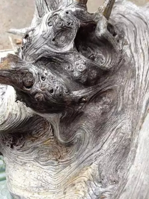 Người đàn ông bất ngờ được báu vật 3,5 tỷ khi bạn cho khúc gỗ - Hình 9 Nguoi dan ong bat ngo duoc bau vat 3,5 ty khi ban cho khuc go-Hinh-9