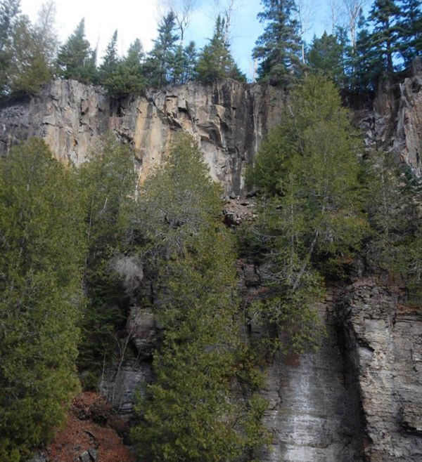 Người đàn ông bất ngờ được báu vật 3,5 tỷ khi bạn cho khúc gỗ - Hình 4 Nguoi dan ong bat ngo duoc bau vat 3,5 ty khi ban cho khuc go-Hinh-4