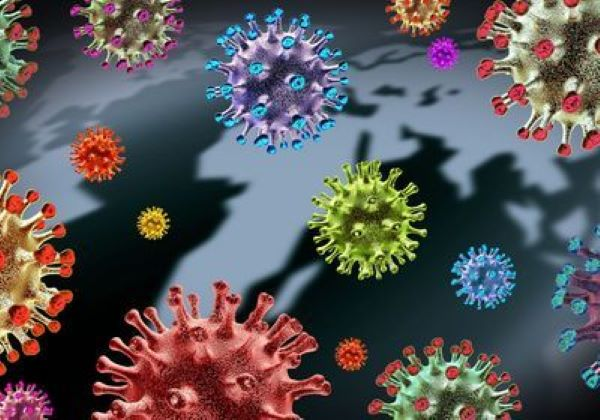 CDC Trung Quốc: Các loài nhiễm SARS-CoV-2 trong tự nhiên gia tăng khó kiểm soát - Hình 10 CDC Trung Quoc: Cac loai nhiem SARS-CoV-2 trong tu nhien gia tang kho kiem soat-Hinh-10