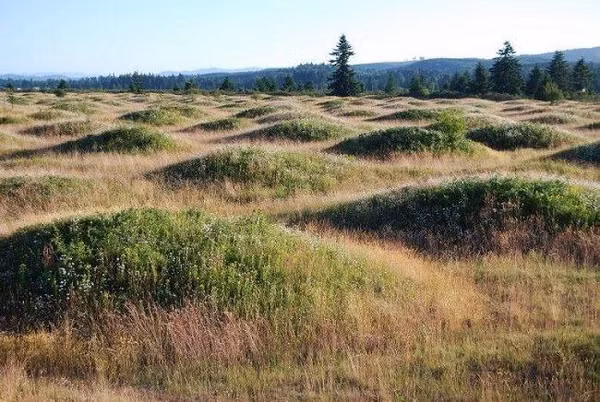 Bi an hang ngan nam mo Mina khong the ly giai-Hinh-8