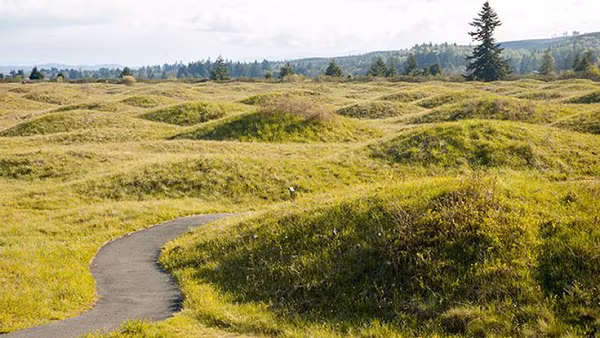 Bi an hang ngan nam mo Mina khong the ly giai-Hinh-3