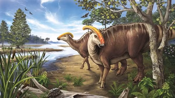 Khung long co the an nau trong hoa thach 125 trieu nam tuoi?-Hinh-10