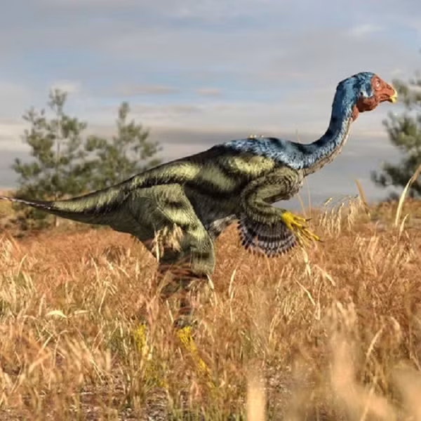 Khung long co the an nau trong hoa thach 125 trieu nam tuoi?-Hinh-6