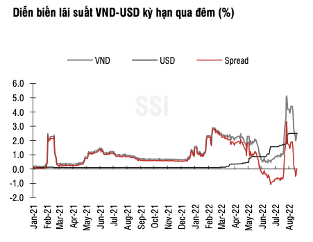 SSI Research: Chenh lech giua lai suat VND va USD lien ngan hang o vung rui ro