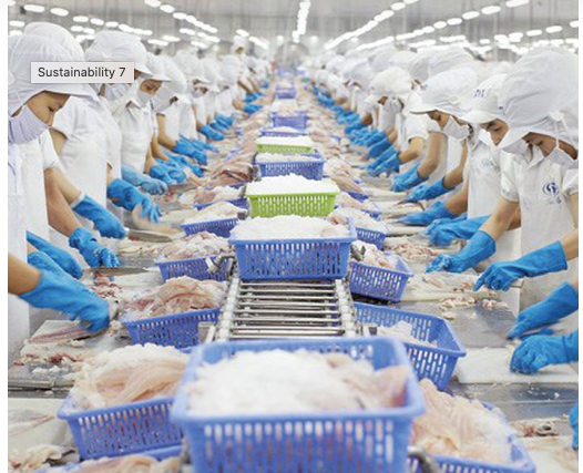 Vinh Hoan bao doanh thu 7 thang dat 7,2 nghin ty nho san luong ban phuc hoi