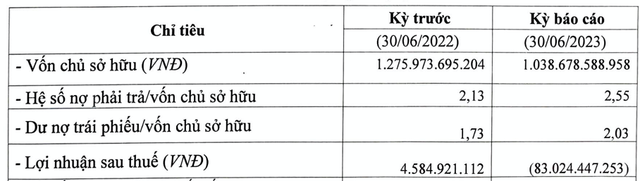 Năng lượng Ninh Thuận lỗ tiếp 83 tỷ, dư nợ trái phiếu hơn gấp đôi vốn chủ Nang luong Ninh Thuan lo tiep 83 ty, du no trai phieu hon gap doi von chu