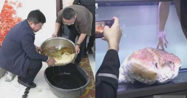 Vật thể lạ như miếng thịt 25 kg, để nửa năm không hỏng - Hình 2 Vat the la nhu mieng thit 25 kg, de nua nam khong hong-Hinh-2