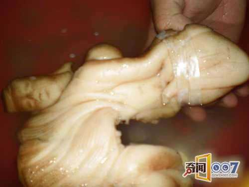 Vật thể lạ như miếng thịt 25 kg, để nửa năm không hỏng - Hình 9 Vat the la nhu mieng thit 25 kg, de nua nam khong hong-Hinh-9