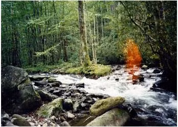 Những bức ảnh đáng sợ nhất lịch sử - Hình 7 Nhung buc anh dang so nhat lich su-Hinh-7