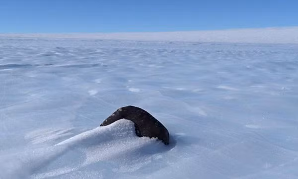 Giat minh 300.000 kho bau vu tru duoc khai quat o Nam Cuc-Hinh-5