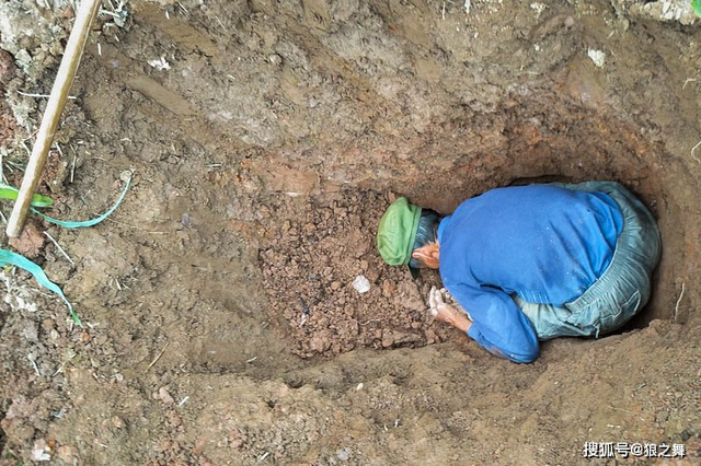 Kỳ bí loại nấm như quả trứng đen, tiền triệu vẫn không bán - Hình 3 Ky bi loai nam nhu qua trung den, tien trieu van khong ban-Hinh-3