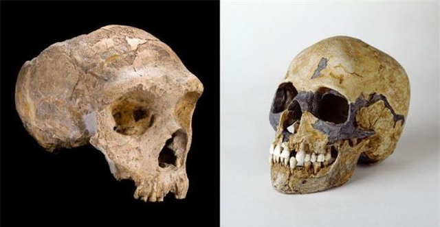 Nguoi Neanderthal tuyet chung vi dieu dac biet nay?-Hinh-8