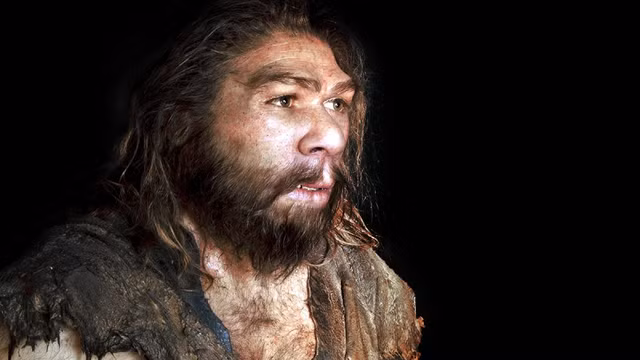 Nguoi Neanderthal tuyet chung vi dieu dac biet nay?-Hinh-9
