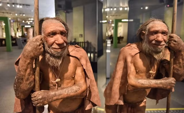 Nguoi Neanderthal tuyet chung vi dieu dac biet nay?-Hinh-2