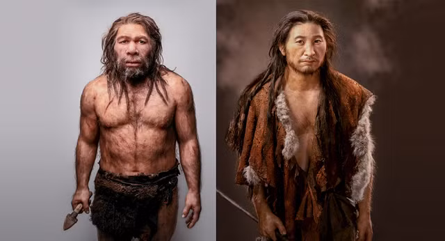 Nguoi Neanderthal tuyet chung vi dieu dac biet nay?-Hinh-12
