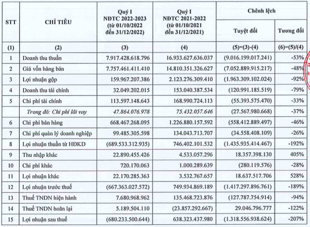 HSG tiếp tục chìm trong thua lỗ lên tới 680 tỷ đồng quý 1 niên độ 2022-2023 HSG tiep tuc chim trong thua lo len toi 680 ty dong quy 1 nien do 2022-2023