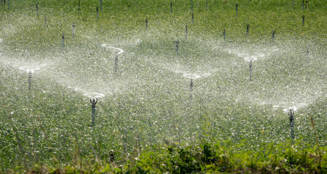 Quảng Ngãi: Thu gom nước mưa để 'giải khát' cho Lý Sơn - Hình 2 Quang Ngai: Thu gom nuoc mua de 'giai khat' cho Ly Son-Hinh-2