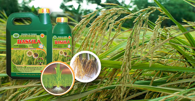 Tung lien quan den Louis Holdings, AGM chim trong thua lo va cham tra lai trai phieu