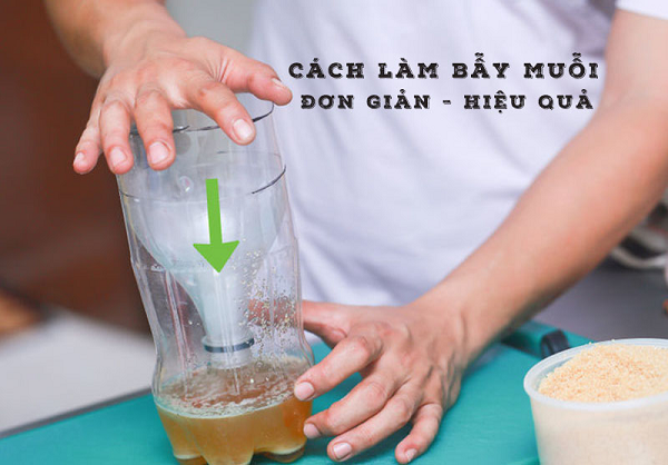 Chuyên gia chỉ cách đuổi muỗi vừa khoa học vừa đảm bảo sức khoẻ - Hình 9 Chuyen gia chi cach duoi muoi vua khoa hoc vua dam bao suc khoe-Hinh-9
