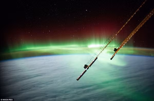 Chuyen gia giai ma “chuoi ngoc la” tren bau troi-Hinh-2