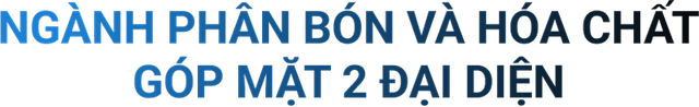 TOP 10 cong ty dai chung hieu qua nhat nam 2023: An tuong HDBank, Dam Phu My va Hoa chat Duc Giang-Hinh-10