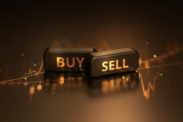 6 co phieu nen dau tu trung va dai han thuoc doanh nghiep nao?