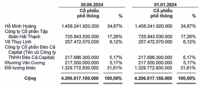Deo Ca Group lai rong 177 ty, vay no tai chinh 21.044 ty-Hinh-2