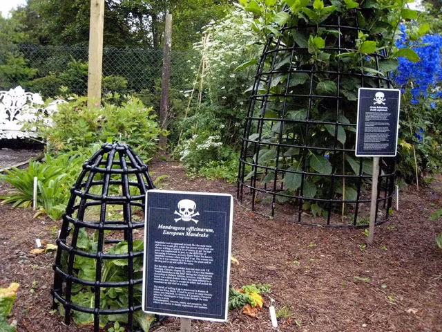 Ky la khu vuon chi can cham vao 1 chiec la co the “tu vong