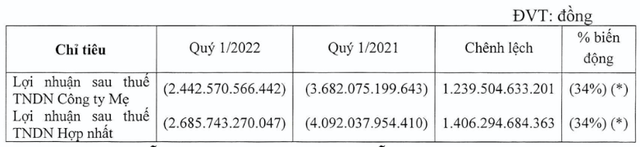 Vietnam Airlines noi gi ve muc lo khung trong quy 1/2022?